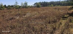 1 Acre Land For Sale In Kipkorgot Eldoret - thumbnail 2