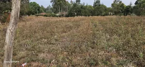 1 Acre Land For Sale In Kipkorgot Eldoret