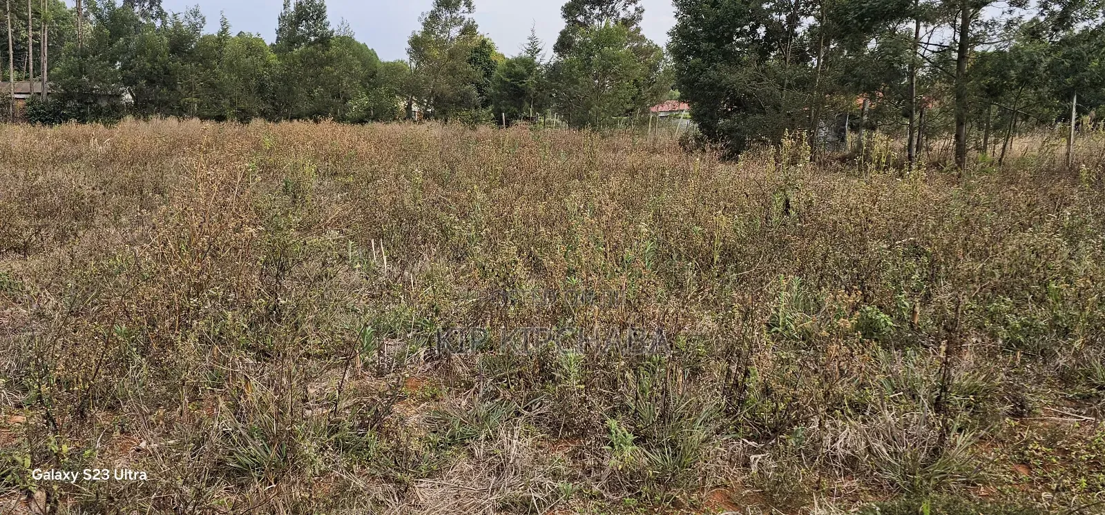 1 Acre Land For Sale In Kipkorgot Eldoret