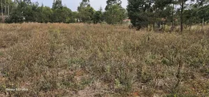 1 Acre Land For Sale In Kipkorgot Eldoret