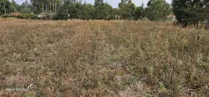 1 Acre Land For Sale In Kipkorgot Eldoret