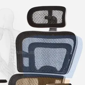 Orthopedic Seat; Ergonomic Desk Chair With Wheels