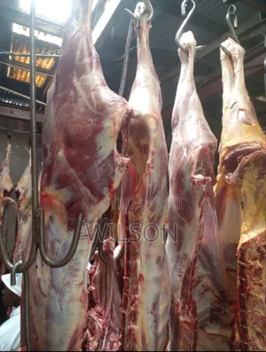 Beef Meat In Wholesale