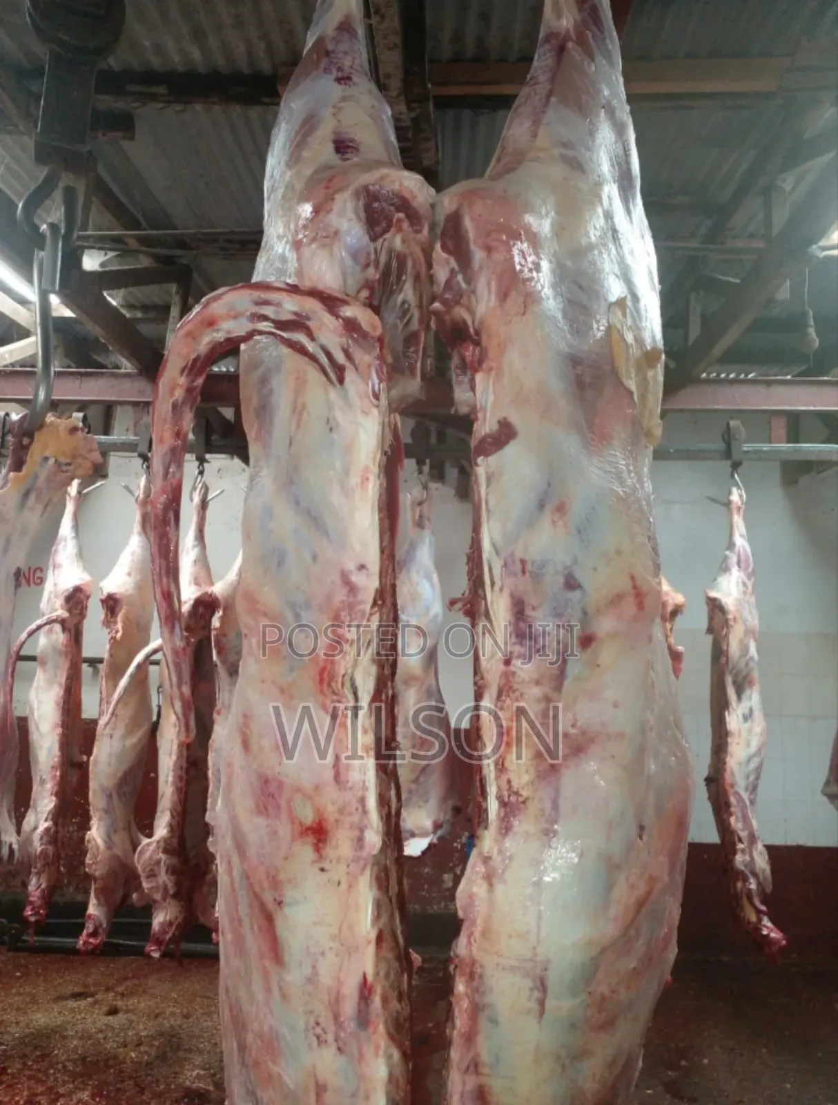 Beef Meat In Wholesale