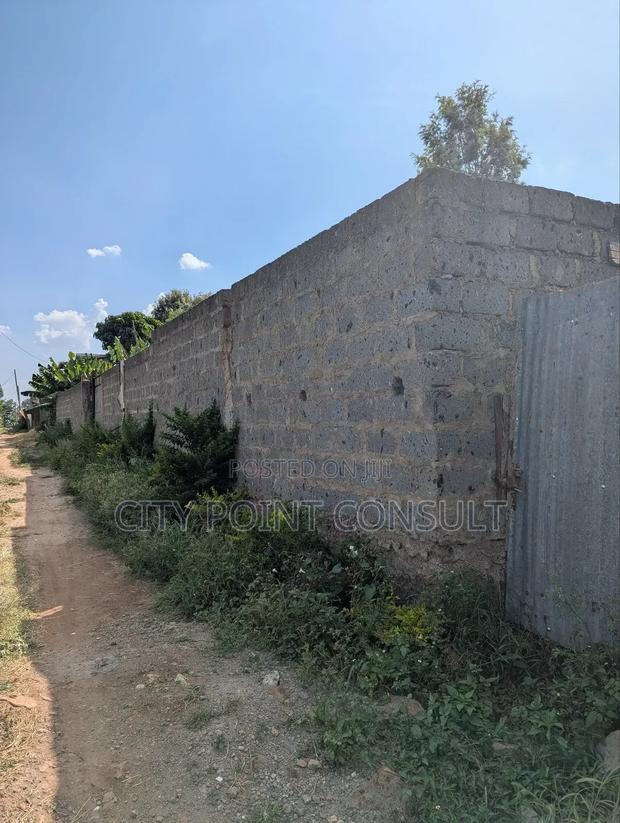 40 by 100 Plot in Kihingo Kiambu Town - thumbnail 8