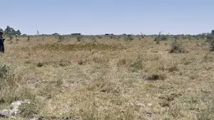Five Acres Of Land For Sale At Sholinke