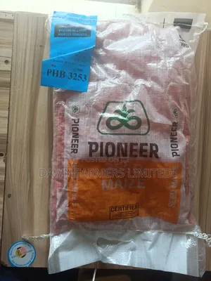 Pioneer 3253 Maize Seeds 2kg