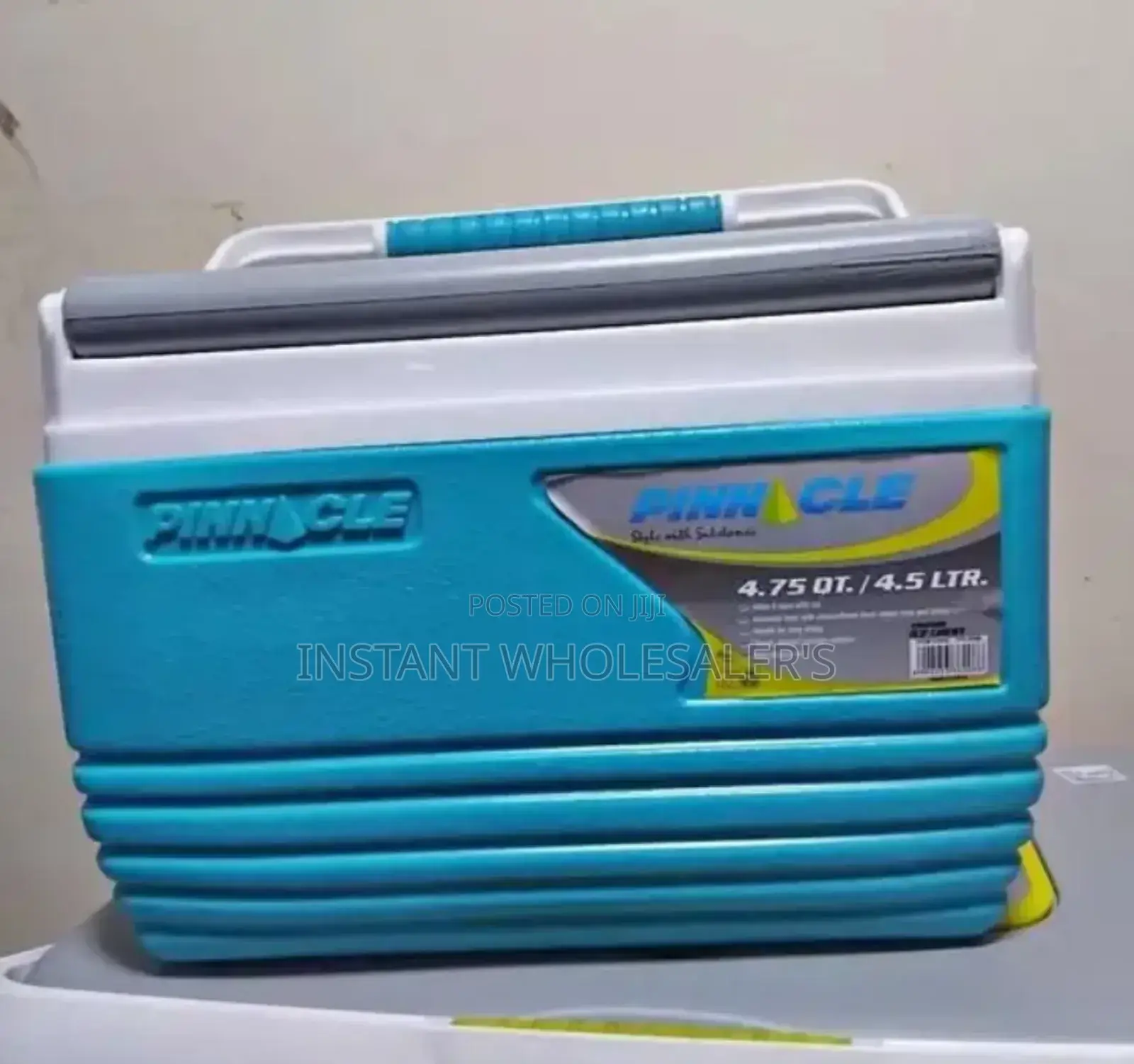 Pinnacle Portable 4.5 Litres Cooler Box
