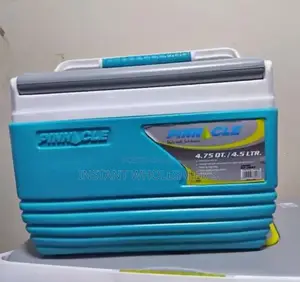 Pinnacle Portable 4.5 Litres Cooler Box