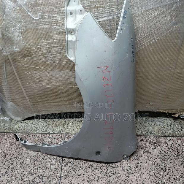Nze 2005 LHS Wing/Fender.