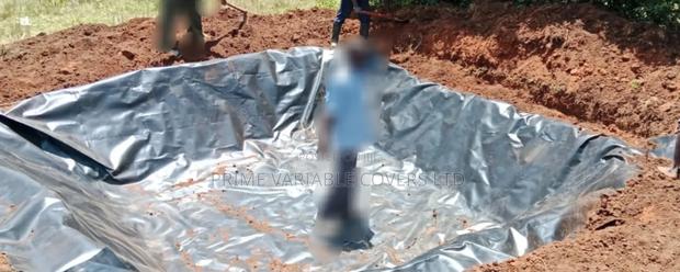 Sustainable Fish Farming With Dam Liners - main view