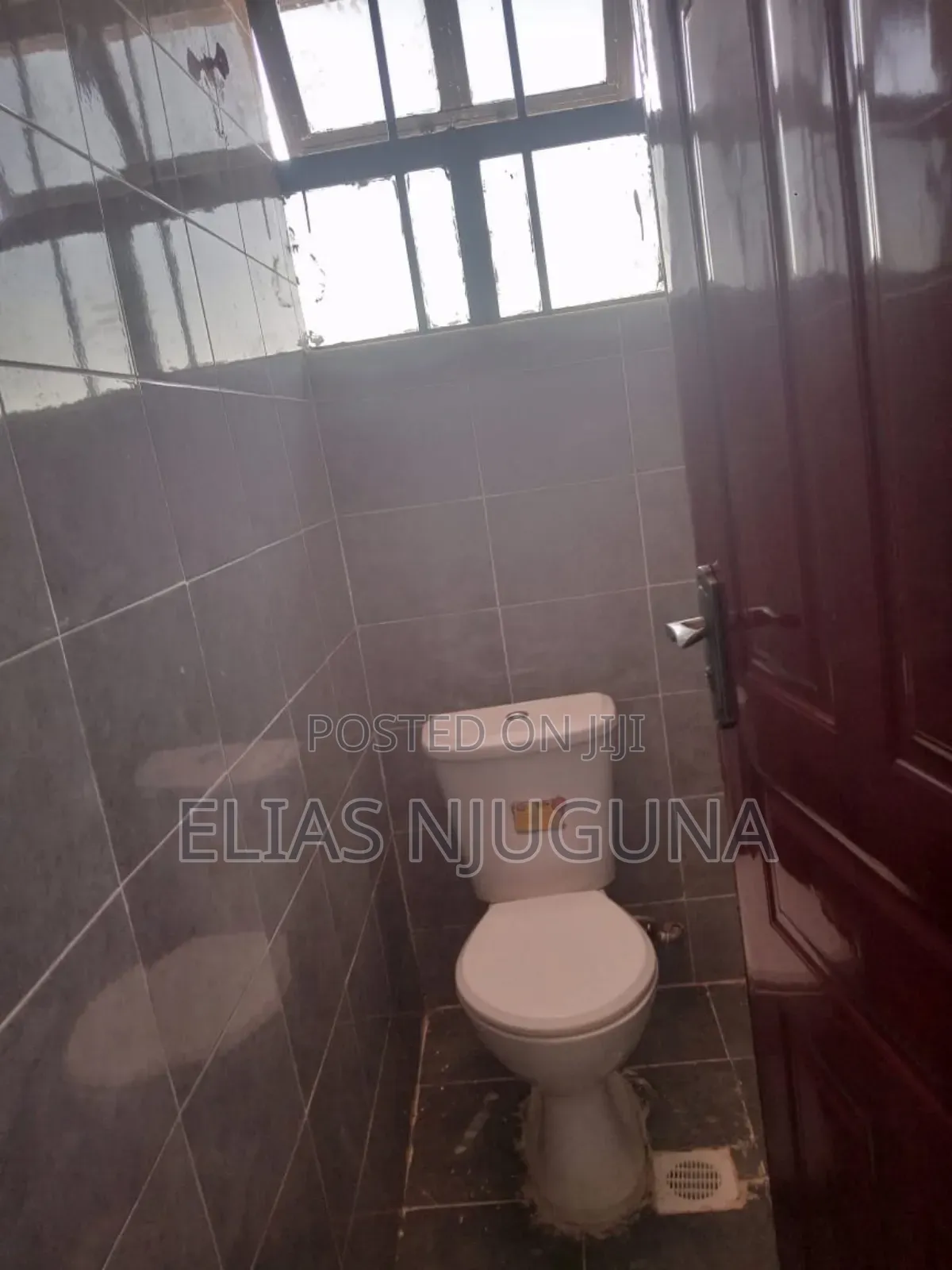 1bdrm Bedsitter in Safaripark Estate, Thome for rent