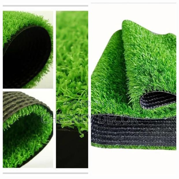 Non-Toxic Turf - main view