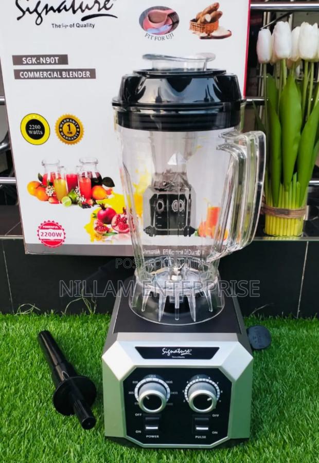 Professional / Commercial Blender