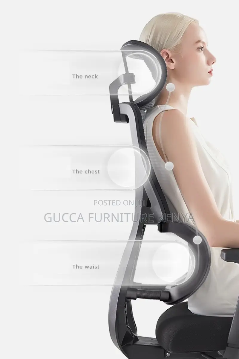 Office Chairs: Office High Back Orthopedic New Support Chair