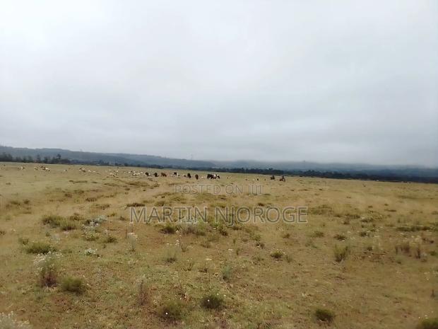 10 Acres Longonot Touching Tarmac - thumbnail 5