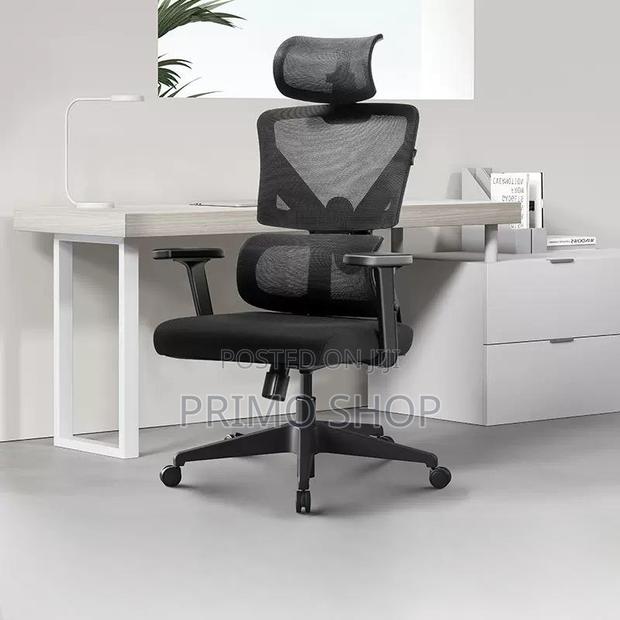 Office Chairs: Mesh High Back Orthopedic Chair for Backpain