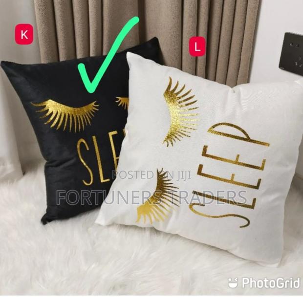 Throw Pillow Cushion