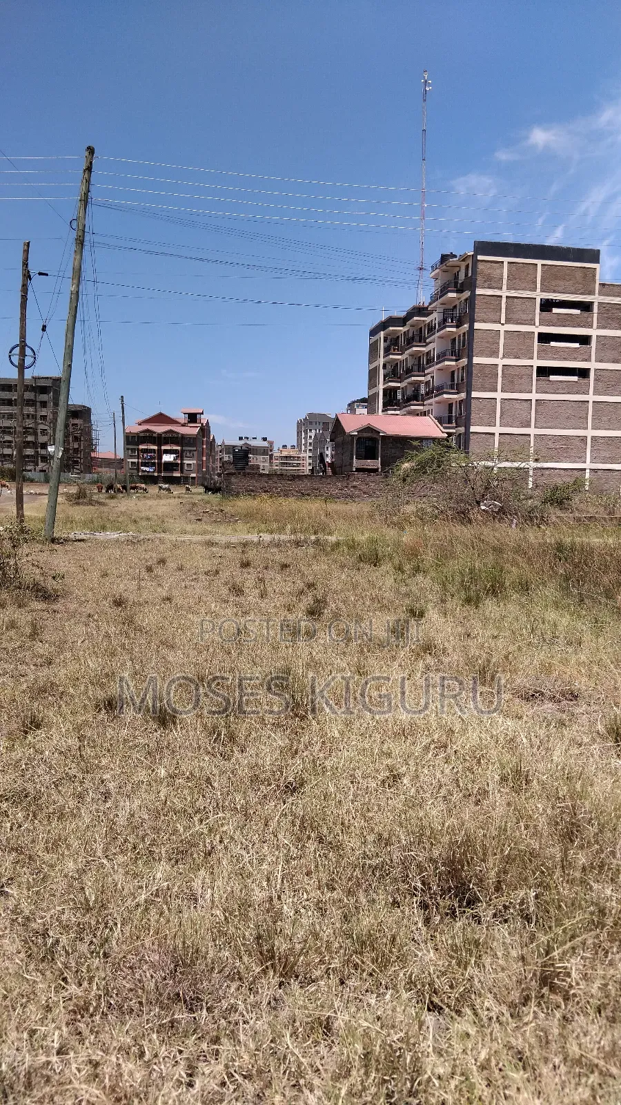Juja 40X80 Commercial Plots.