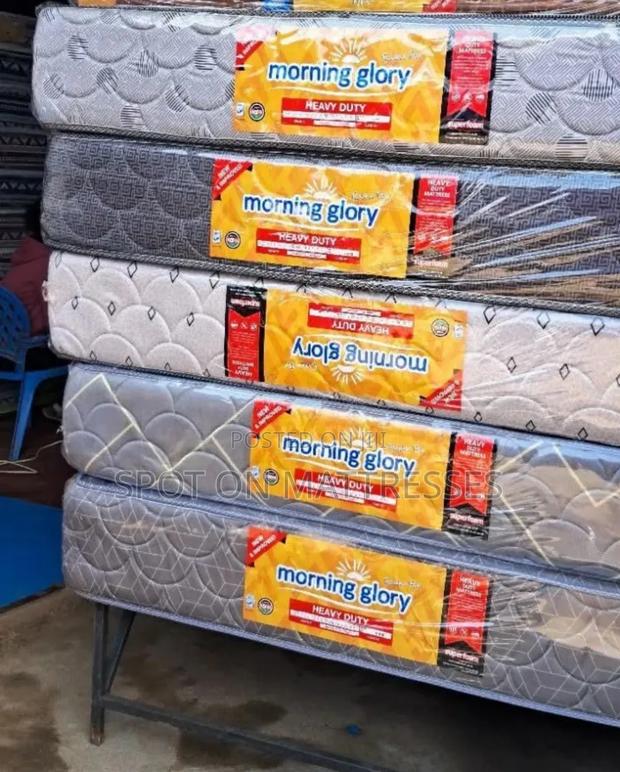 Good Riddance! 5by6 10inch HD Quilted Mattresses.