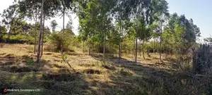 4 Rooms Built on 2 Acres in Lower