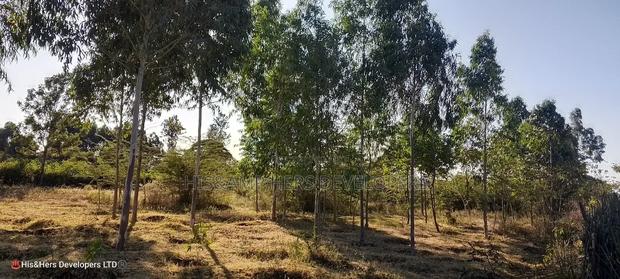 4 Rooms Built on 2 Acres in Lower - thumbnail 4