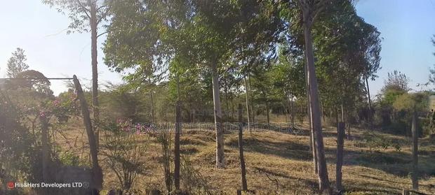 4 Rooms Built on 2 Acres in Lower - thumbnail 5