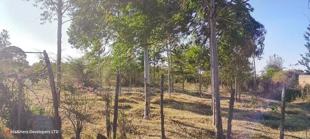 4 Rooms Built on 2 Acres in Lower - thumbnail 6