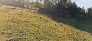 4 Rooms Built on 2 Acres in Lower