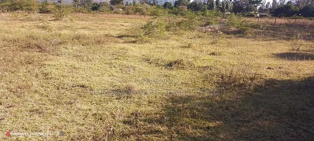 4 Rooms Built on 2 Acres in Lower - thumbnail 11