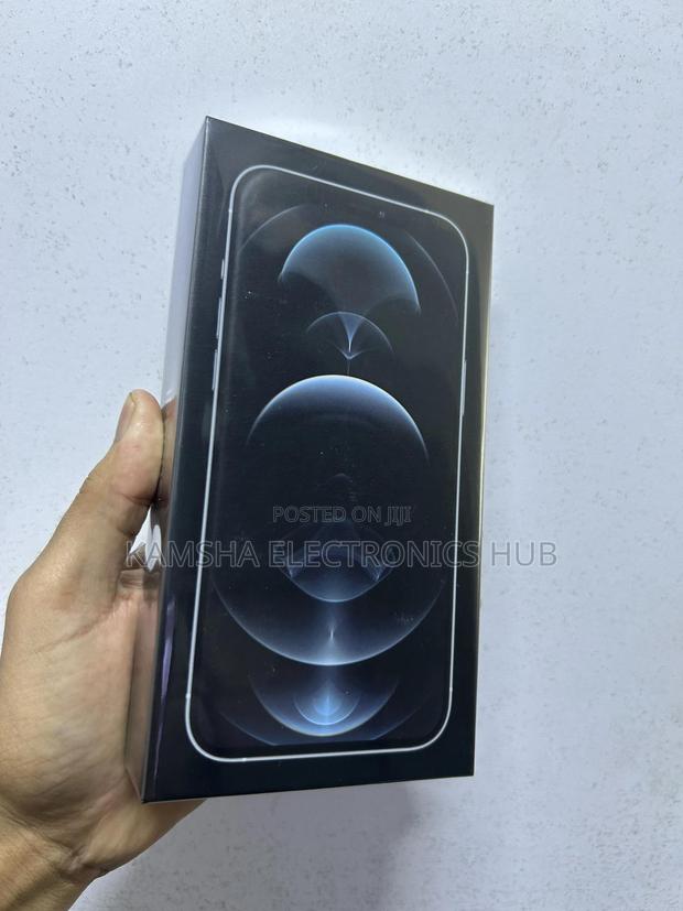 New Apple iPhone 12 Pro Max 256 GB Silver - main view