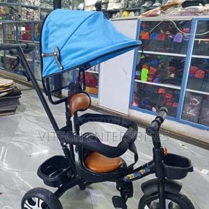 Push Tricycle With Canopy - main view