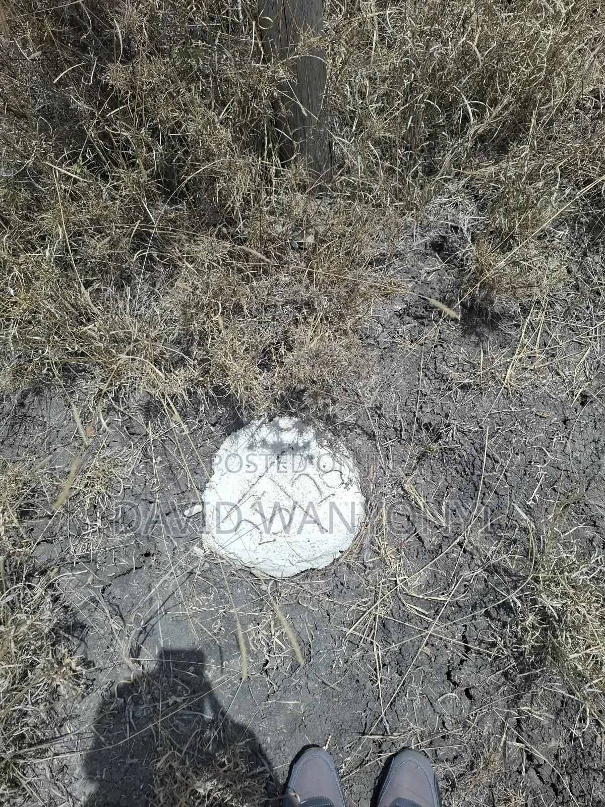 50*100 Land for Sale