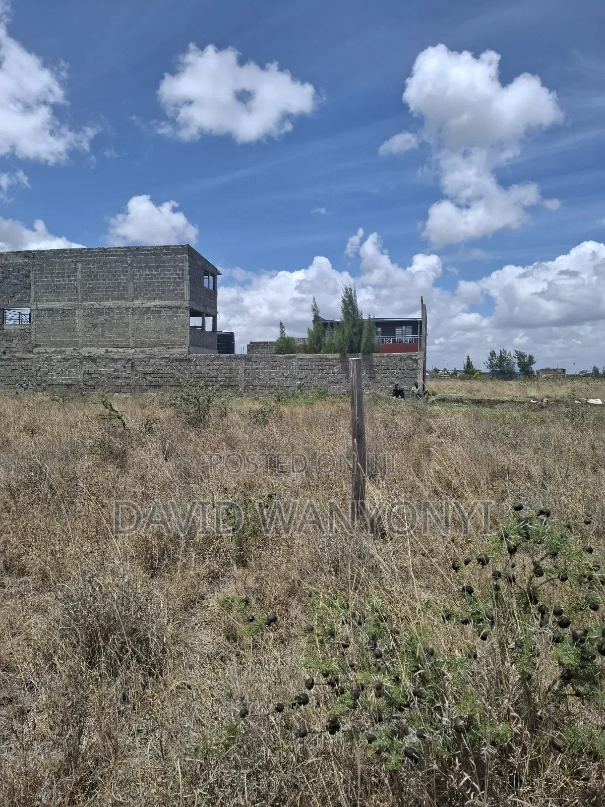 50*100 Land for Sale
