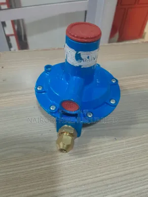 REGO Regulator for School Lab Installation