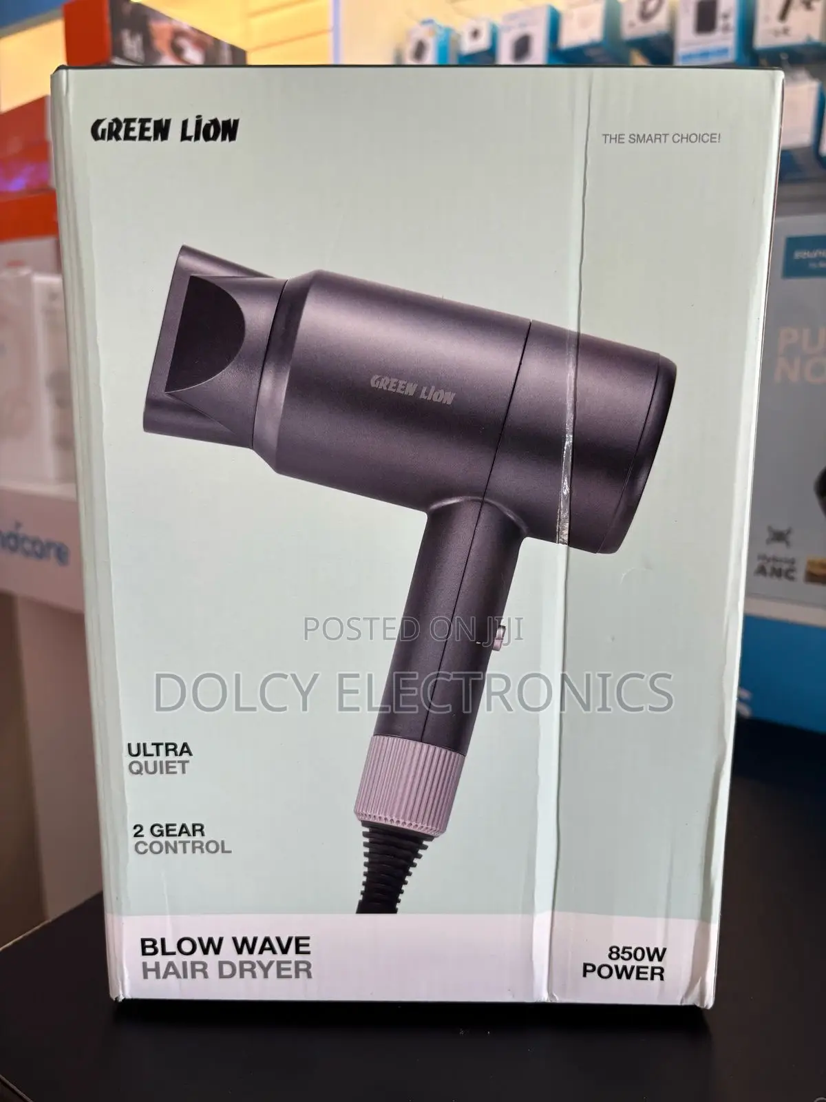 Green Lion Blow Wave 850W Hair Dryer