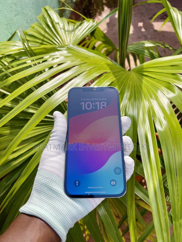 Apple iPhone 12 Pro Max 256 GB Gray - thumbnail 4