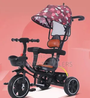 Toddler Ride On With Canopy