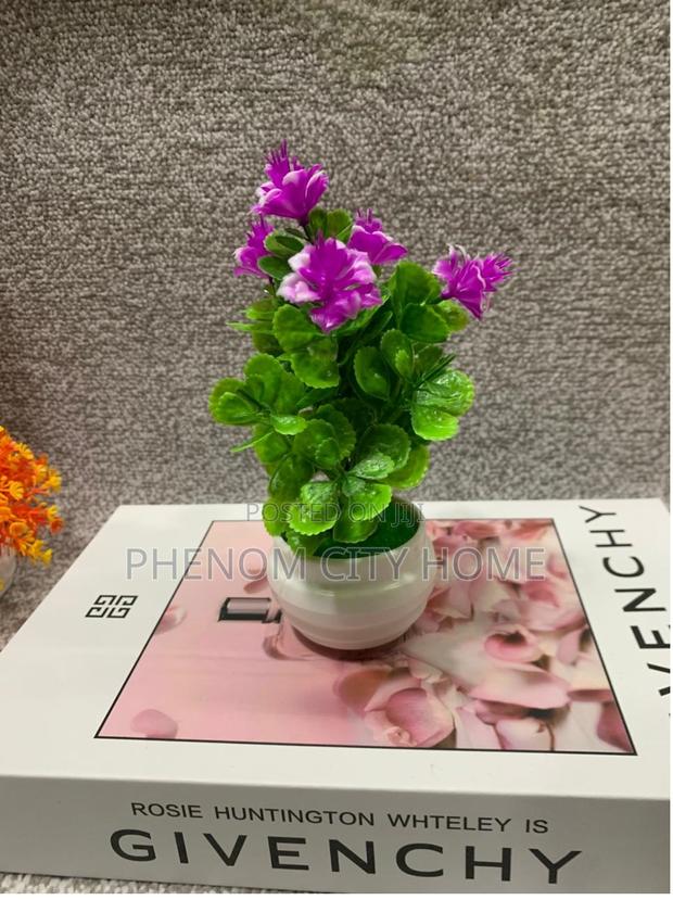Small Lavender Decor Plants Available Today - thumbnail 2