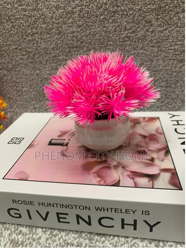 Pink Miniature Décor Plants Available