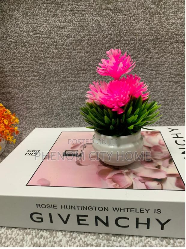 Pinkish Small Decorative Plants