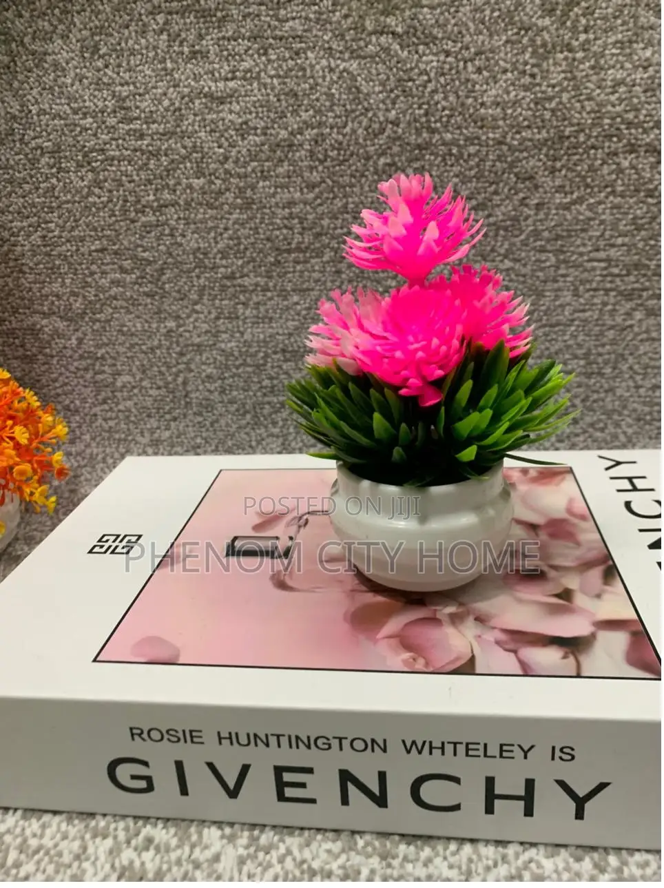Pinkish Small Decorative Plants