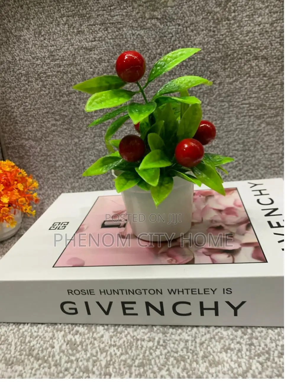 Pinkish Small Decorative Plants