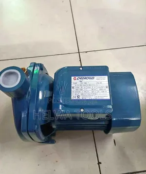 Pedrollo Water Pump, 1 Hp Water Pump