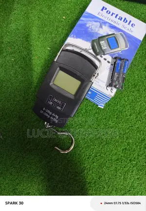 Electronic Portable Scale 50kgs