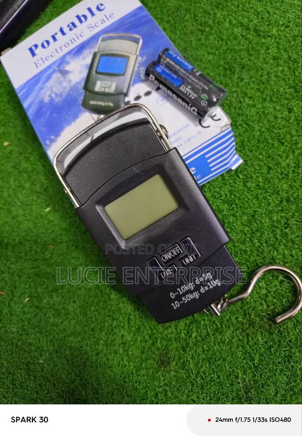Portable Hanging Scale - main view