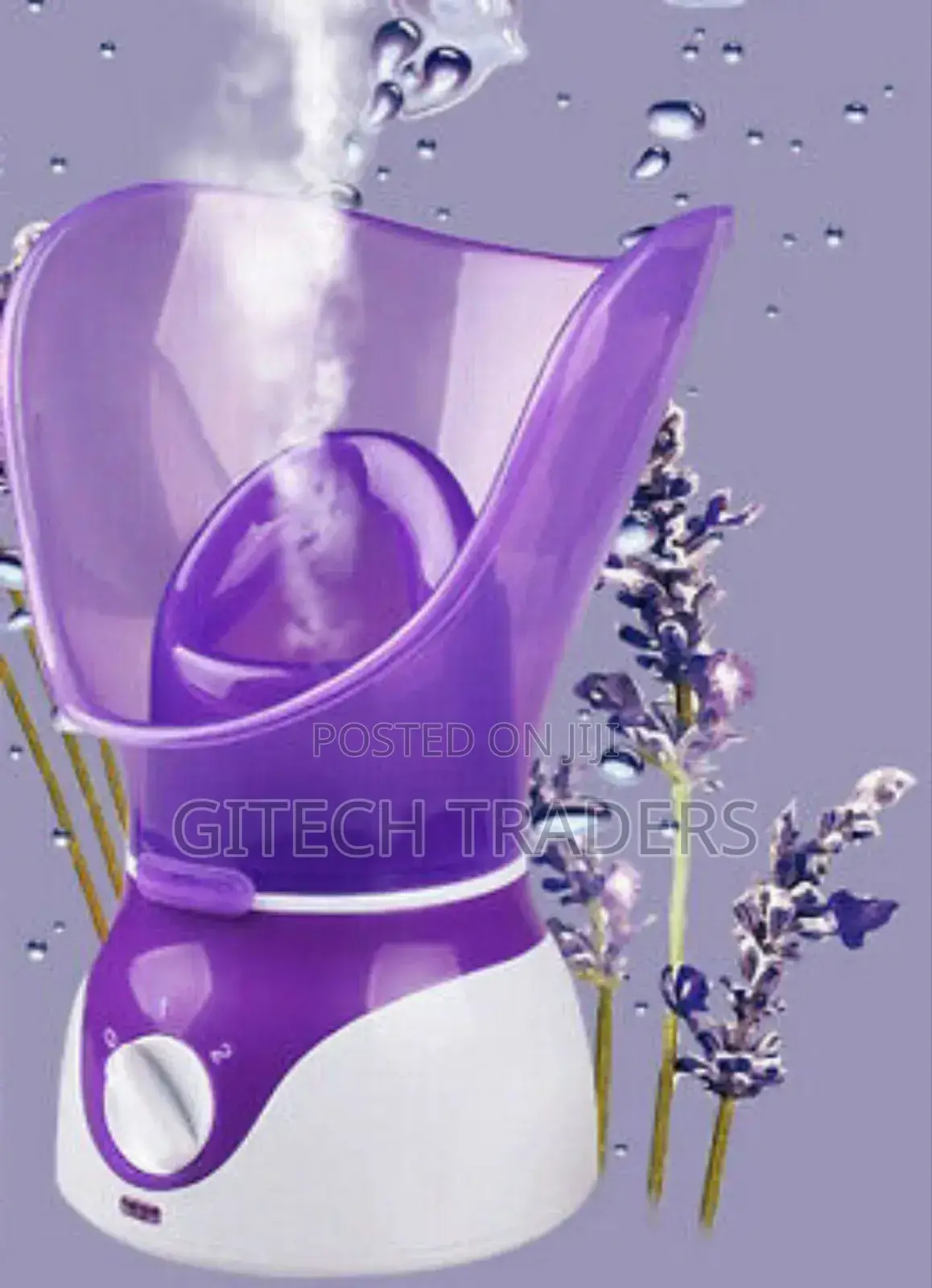 Facial Steamer