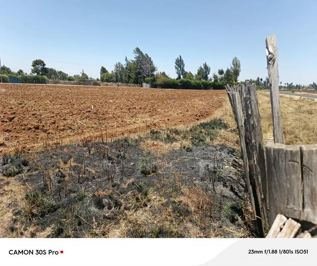 1/2 Acre Kiplombe Touching Tarmac - thumbnail 2