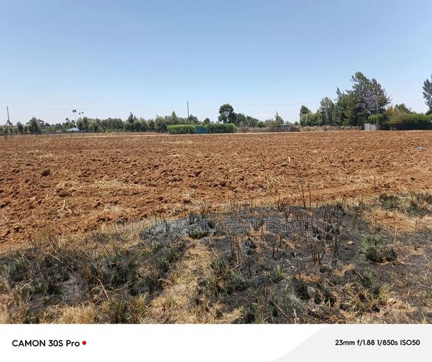 1/2 Acre Kiplombe Touching Tarmac - thumbnail 3