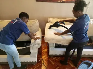 Seats Steam Cleaning Services
